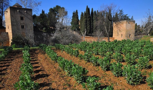 Huertas del Generalife. Archivo (PATRONATO DE LA ALHAMBRA)