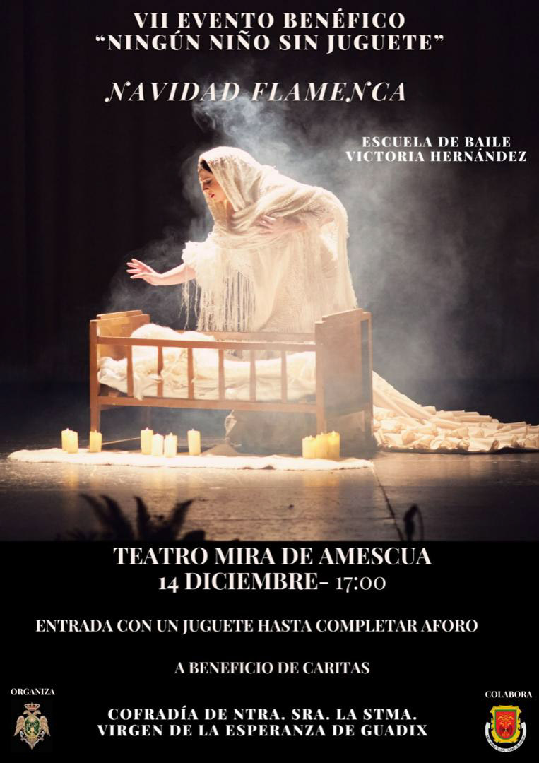 (AYTO. GUADIX)