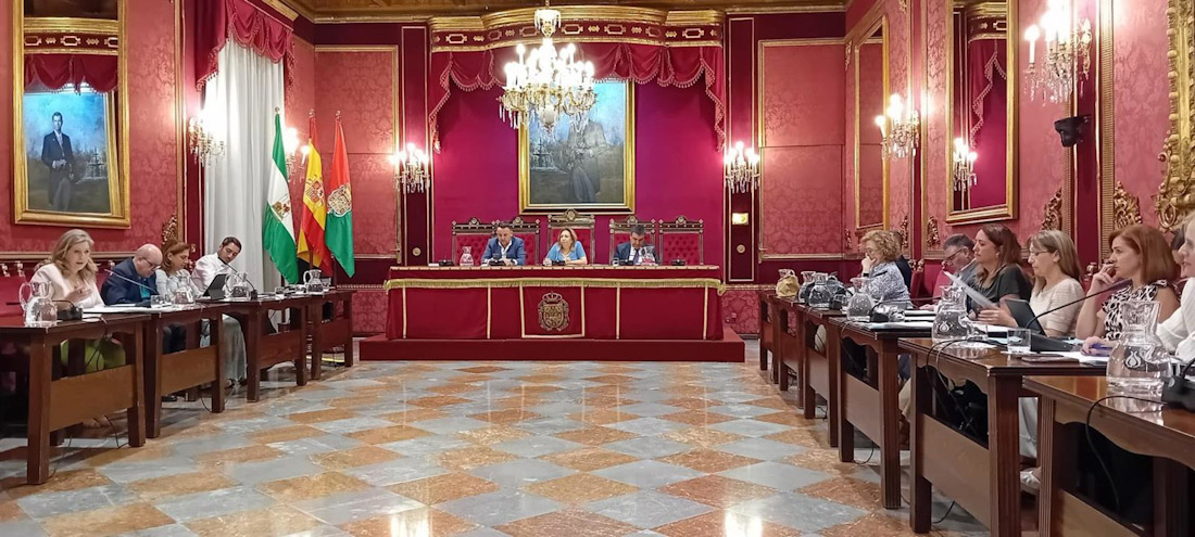 Imagen de archivo de una comisión de Economía del Ayuntamiento de Granada presidida por la edil del ramo, Rosario Pallarés (EUROPA PRESS)