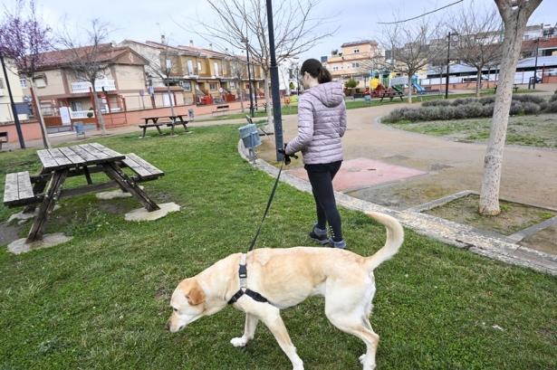 (AYTO. ARMILLA)