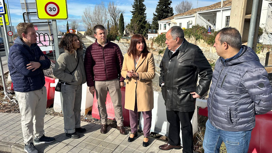 (PSOE)