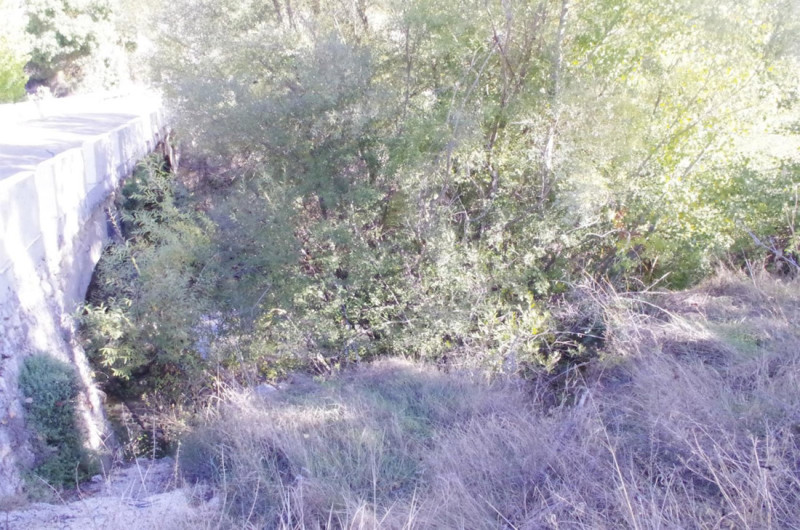 Río Velillos, en término de Moclín (ECOLOGISTAS EN ACCIÓN) Río Velillos, en término de Moclín (ECOLOGISTAS EN ACCIÓN)
