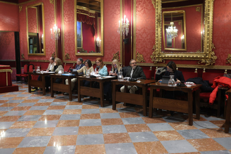 Comisión delegada en el Ayuntamiento de Granada (GPMEDIA) Comisión delegada en el Ayuntamiento de Granada (GPMEDIA)