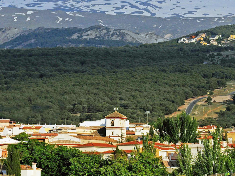 (AYTO. LA ZUBIA)