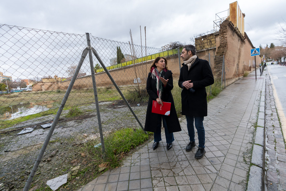 (PSOE)