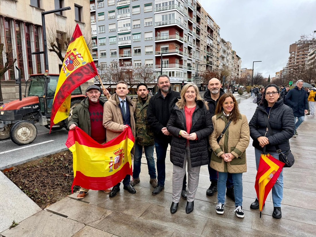 vox granada