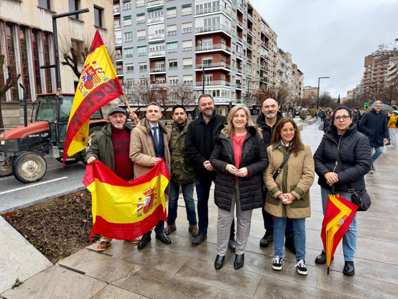 vox granada