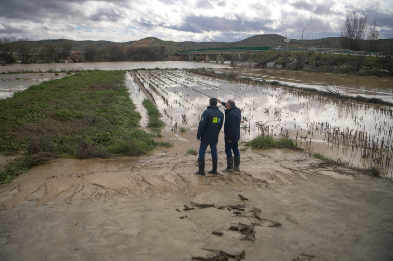 Juanma Moreno visitó una plantación de espárragos afectada por el temporal (GPMEDIA) Juanma Moreno visitó una plantación de espárragos afectada por el temporal (GPMEDIA)