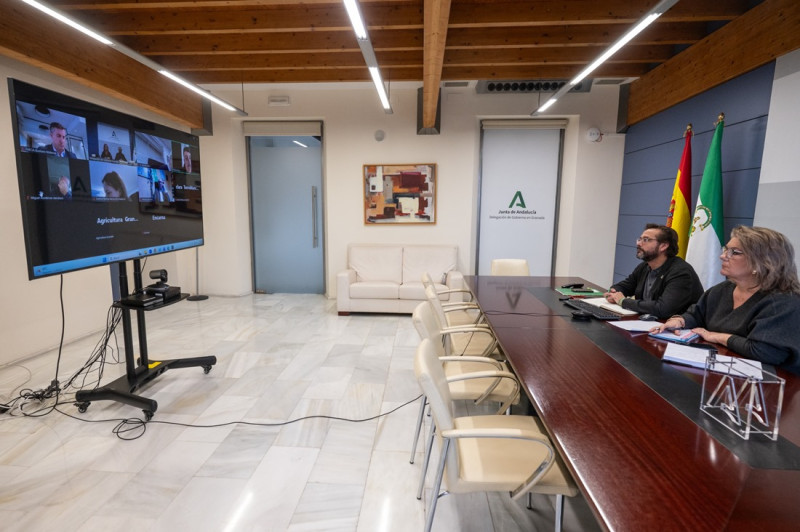 Imagen de la reunión telemática (JUNTA)