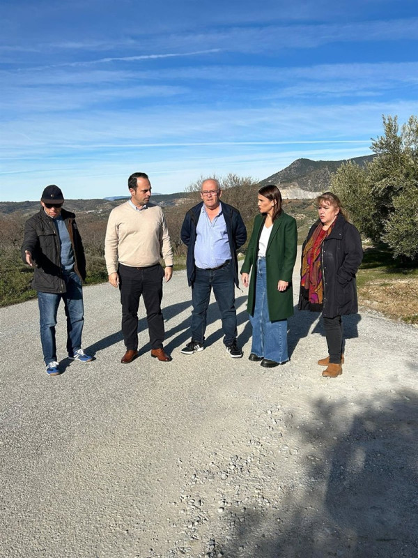 (PSOE)