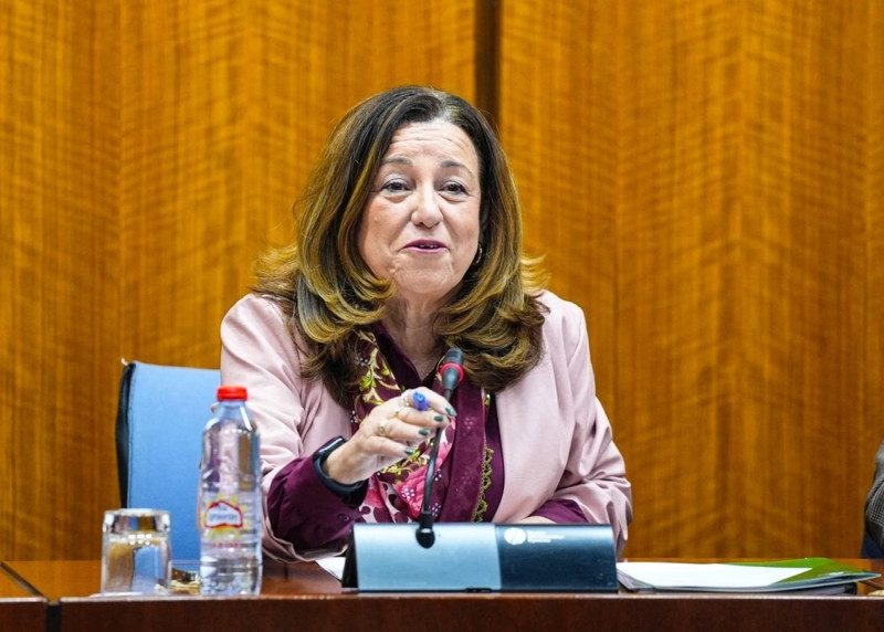 La consejera de Desarrollo Educativo y Formación Profesional, María del Carmen Castillo, en la comisión parlamentaria del 19 de febrero de 2026 (JOAQUIN CORCHERO / PARLAMENTO DE ANDALUCIA) La consejera de Desarrollo Educativo y Formación Profesional, María del Carmen Castillo, en la comisión parlamentaria del 19 de febrero de 2026 (JOAQUIN CORCHERO / PARLAMENTO DE ANDALUCIA)