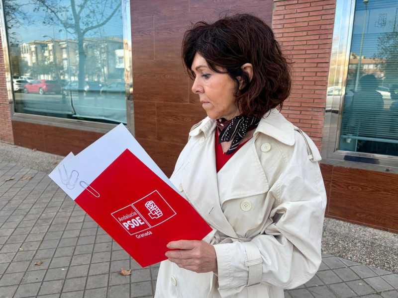(PSOE) (PSOE)