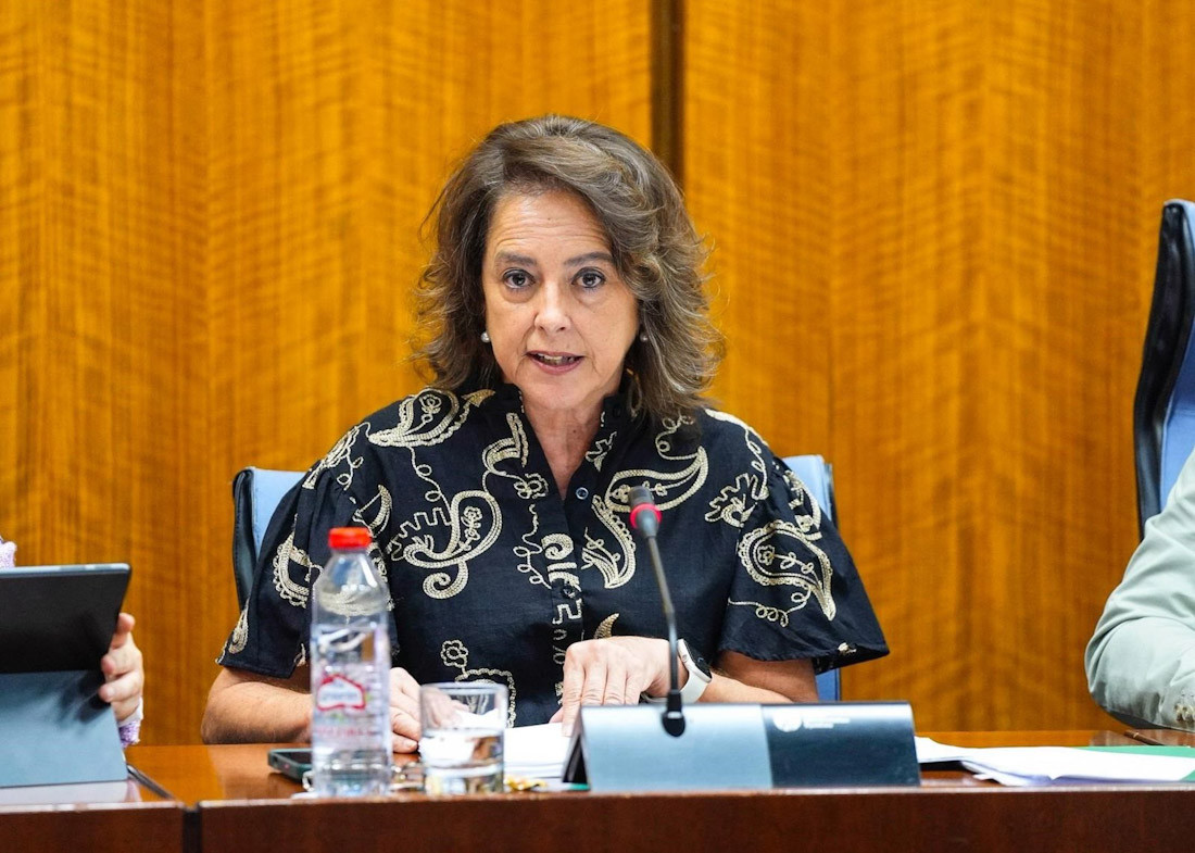 La consejera de Sostenibilidad y Medio Ambiente, Catalina García, en comisión parlamentaria el pasado noviembre (JOAQUIN CORCHERO / PARLAMENTO DE ANDALUCIA)