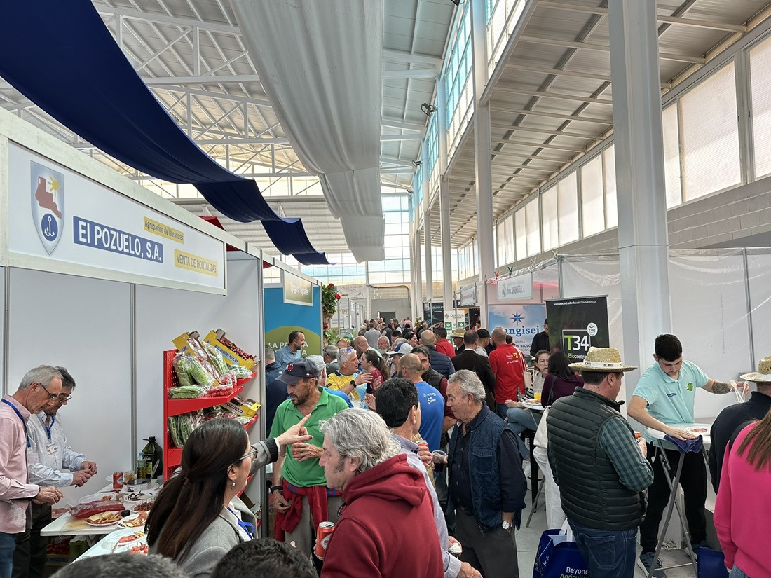 Expo Cherry