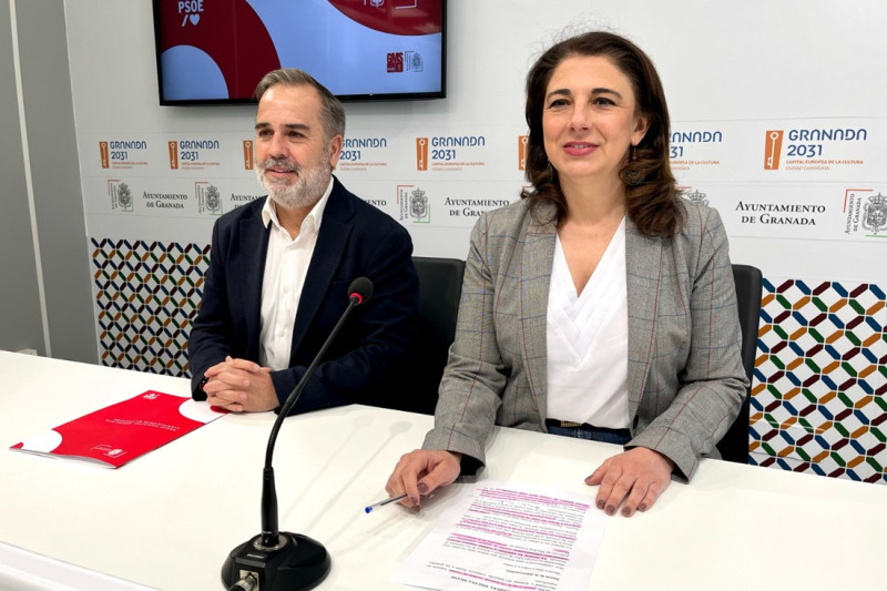 (PSOE) (PSOE)