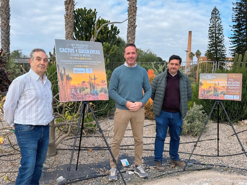 (AYTO. MOTRIL)