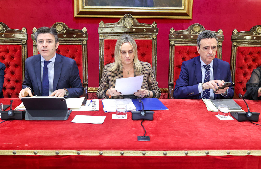 Pleno del Ayuntamiento de Granada (GPMEDIA)