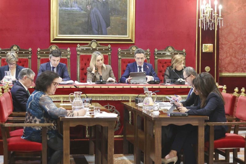 Pleno del Ayuntamiento de Granada (GPMEDIA) Pleno del Ayuntamiento de Granada (GPMEDIA)