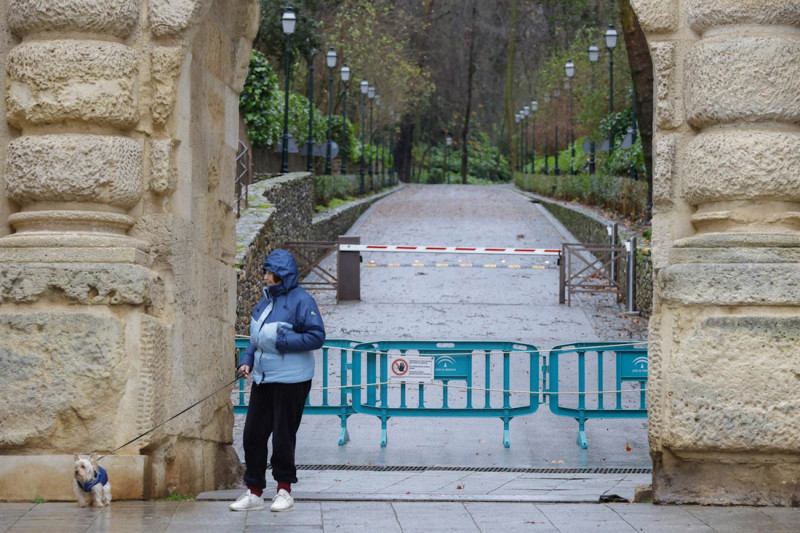 La Alhambra cierra el acceso a sus bosques por riesgo de caída de ramas o árboles. Imagen de archivo (ÁLEX CÁMARA-EUROPA PRESS)