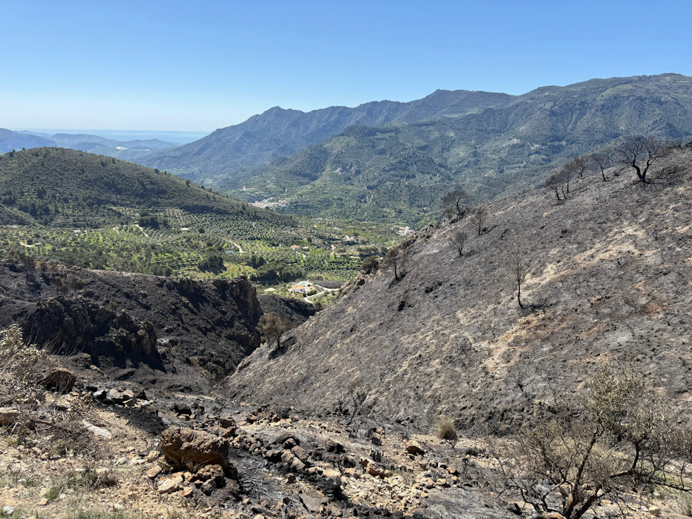 Zona afectada por el incendio en Los Guájares, que ya se encuentra controlado (DIPGRA