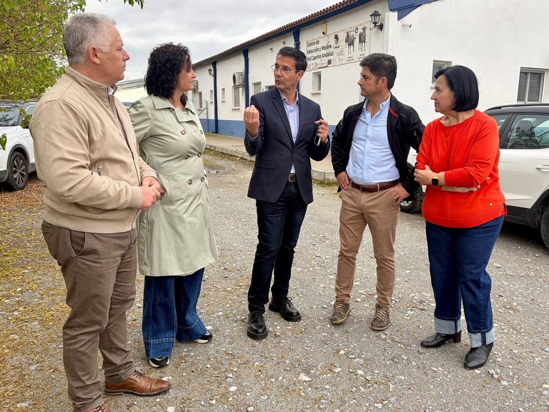 (PSOE)