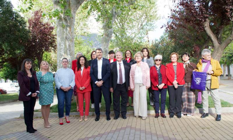 (PSOE) (PSOE)