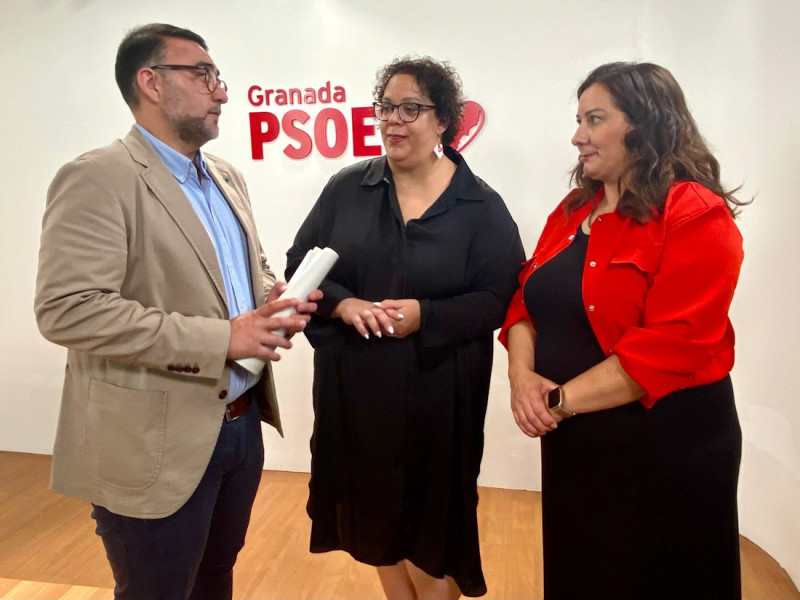 (PSOE) (PSOE)