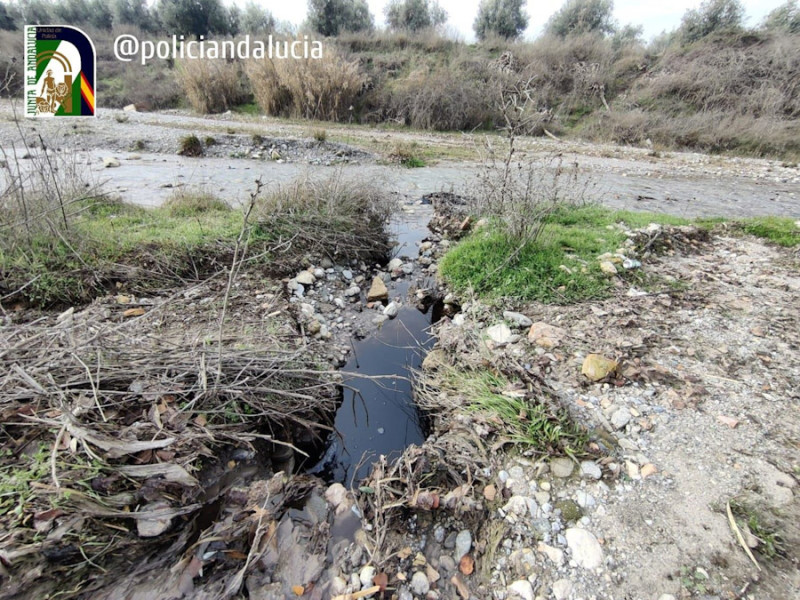 Vertido ilegal de alpechín en el río Dílar en el término municipal de Ogíjares, en Granada (JUNTA) Vertido ilegal de alpechín en el río Dílar en el término municipal de Ogíjares, en Granada (JUNTA)