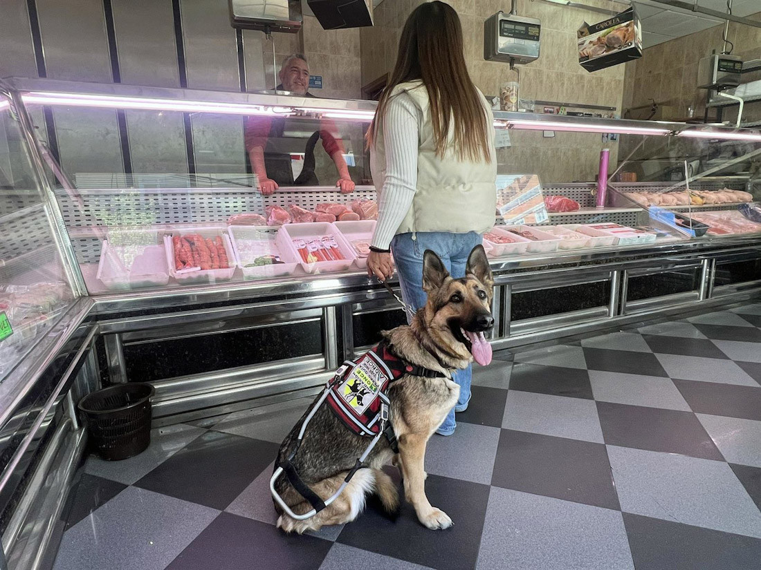Usuaria con un perro guia en una carnicería (FUNDACIÓN ONCE)