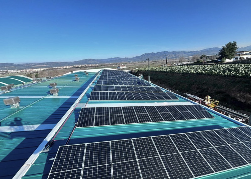 Nueva planta fotovoltaica en Asigran (CUERVA)