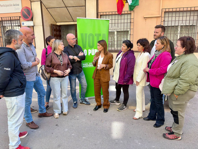 (PSOE) (PSOE)