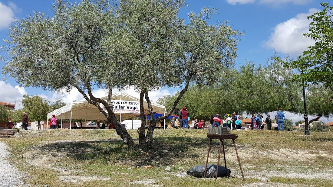 Romería de San Isidro (AYTO. CÚLLAR VEGA)