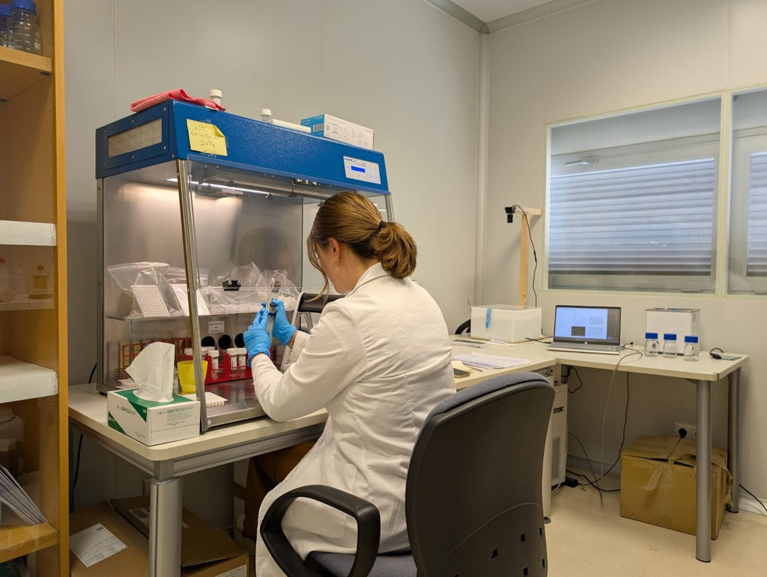 La investigación ha sido liderada por Elena Bazo, estudiante predoctoral de la Universidad de Granada, bajo la supervisión de los profesores Gloria Titos y Alberto Cazorla, del Departamento de Física Aplicada y del Iista (UGR)