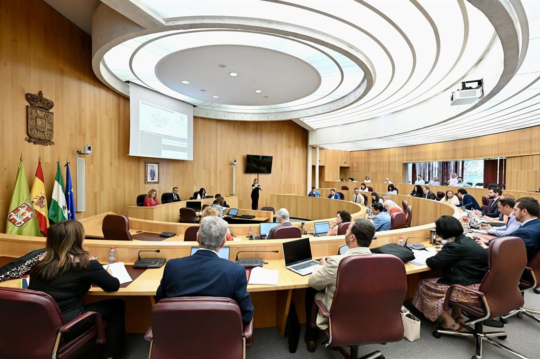 Pleno de la Diputación de Granada (DIPGRA)