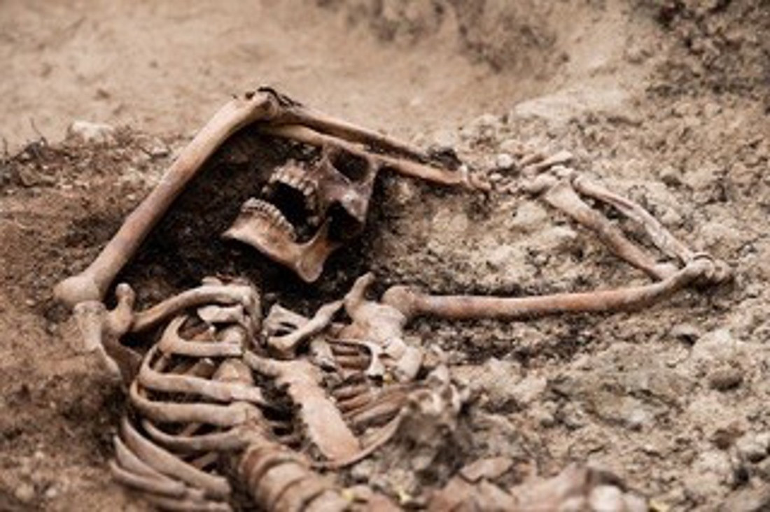Exhumación de una fosa en el cementerio de Padul (FRANCISCO DE ASÍS CARRIÓN)