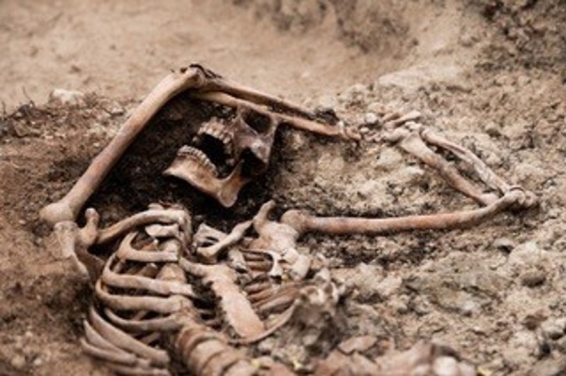 Exhumación de una fosa en el cementerio de Padul (FRANCISCO DE ASÍS CARRIÓN)