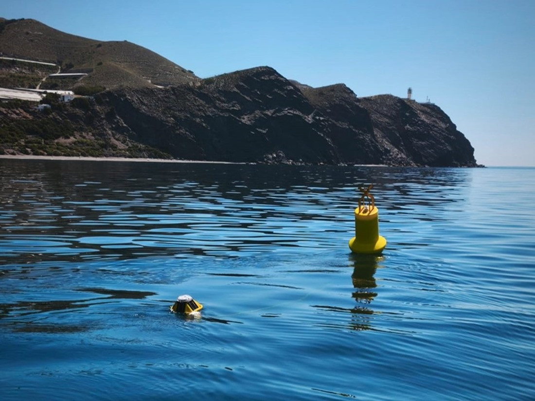 Aspecto de la boya oceanográfica en la superficie (PUERTO DE MOTRIL)