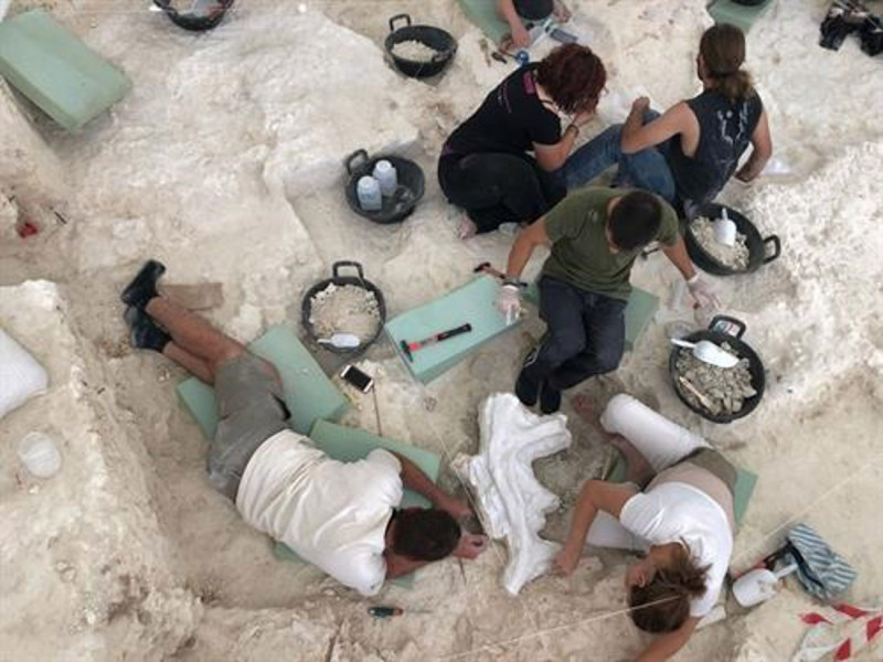 Excavaciones en Orce (UGR/ARCHIVO)