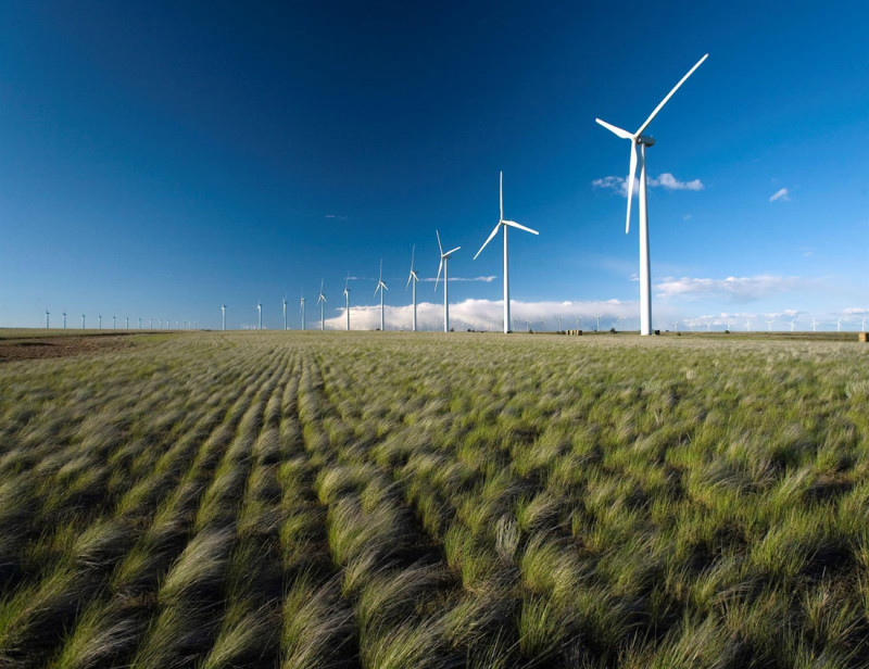 Parque eólico (IBERDROLA) Parque eólico (IBERDROLA)