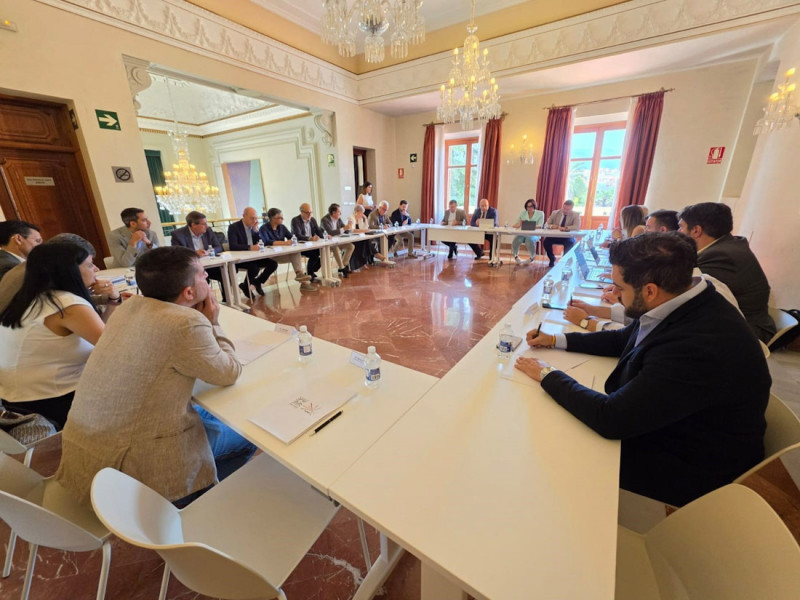 IV Foro Local IFMIF-DONES en el Palacio de Quinta Alegre de Granada (IFMIF-DONES ESPAÑA) IV Foro Local IFMIF-DONES en el Palacio de Quinta Alegre de Granada (IFMIF-DONES ESPAÑA)