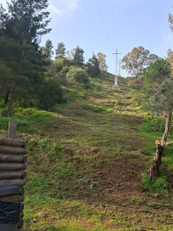 Endesa protege el entorno natural de sus líneas eléctricas en Granada a lo largo de 10.000 kilómetros (ENDESA)