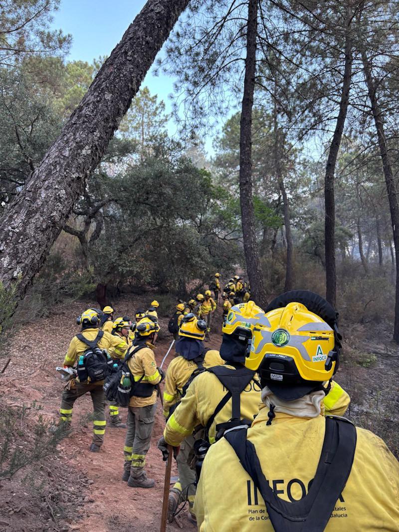 Bomberos del Infoca (EMA INFOCA,)
