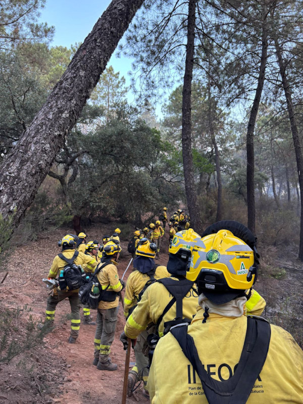 Bomberos del Infoca (EMA INFOCA,)
