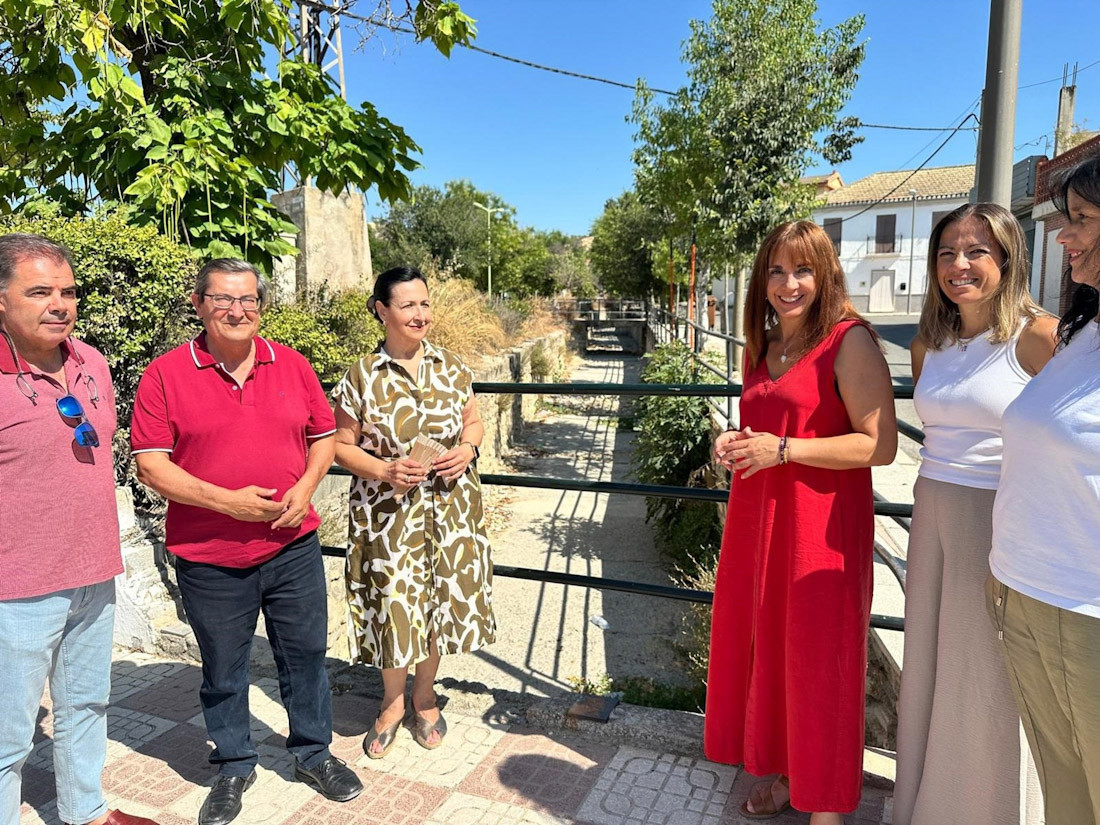 (PSOE)