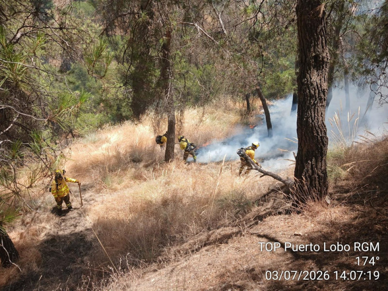 Incendio forestal en el Sacromonte (INFOCA)