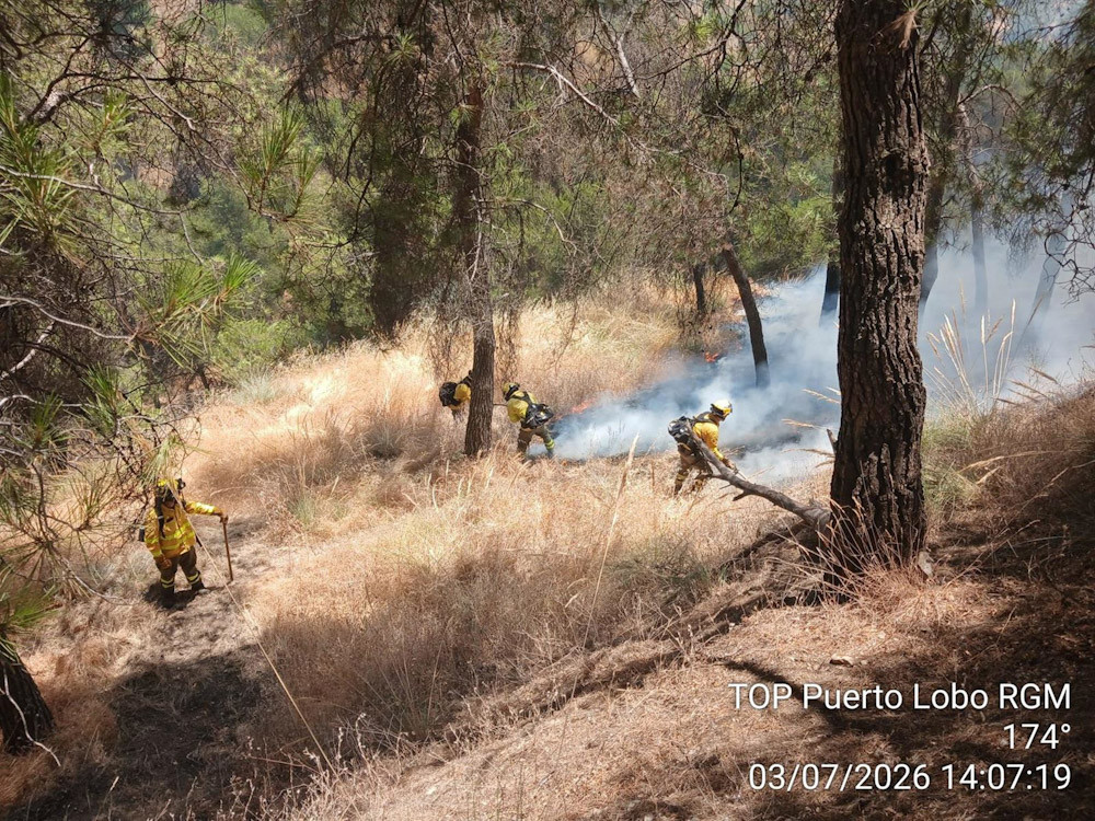 Incendio forestal en el Sacromonte (INFOCA)