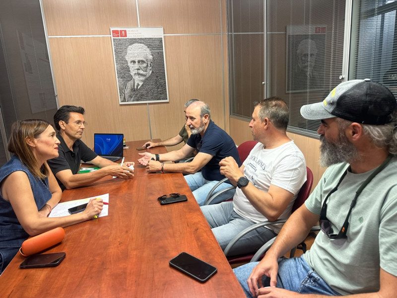 (PSOE) (PSOE)