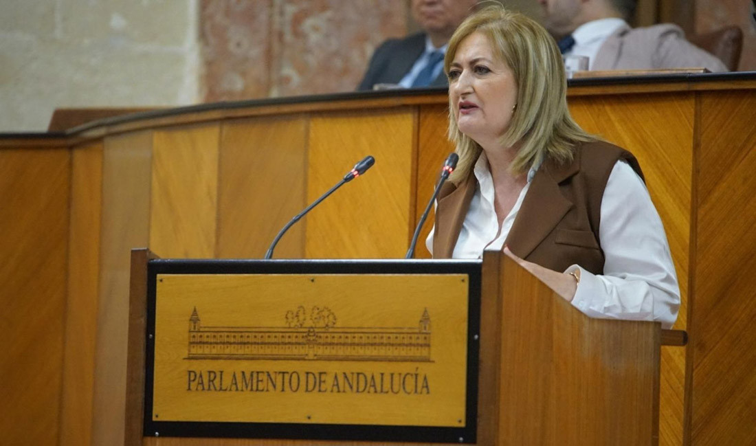 La parlamentaria andaluza del Partido Popular de Granada Celia Santiago (PP DE GRANADA)