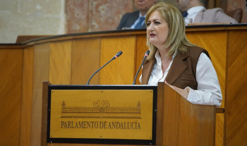 La parlamentaria andaluza del Partido Popular de Granada Celia Santiago (PP DE GRANADA)