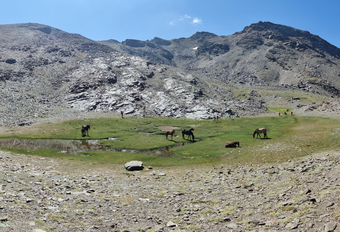 SIerra Nevada en verano (CETURSA)